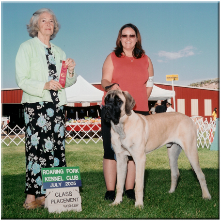 Newton's First Show